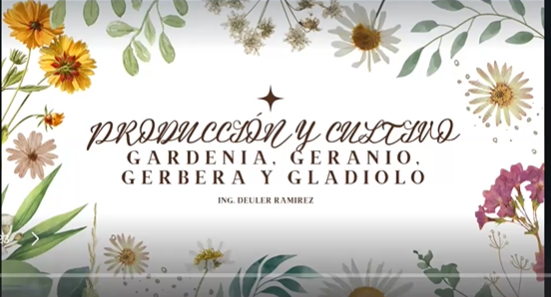 GARDENIA, GERANIO, GERBERA Y GLADIOLO